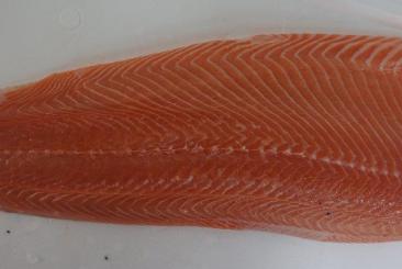 Salmon fillet skinless 4000/5000 trim E